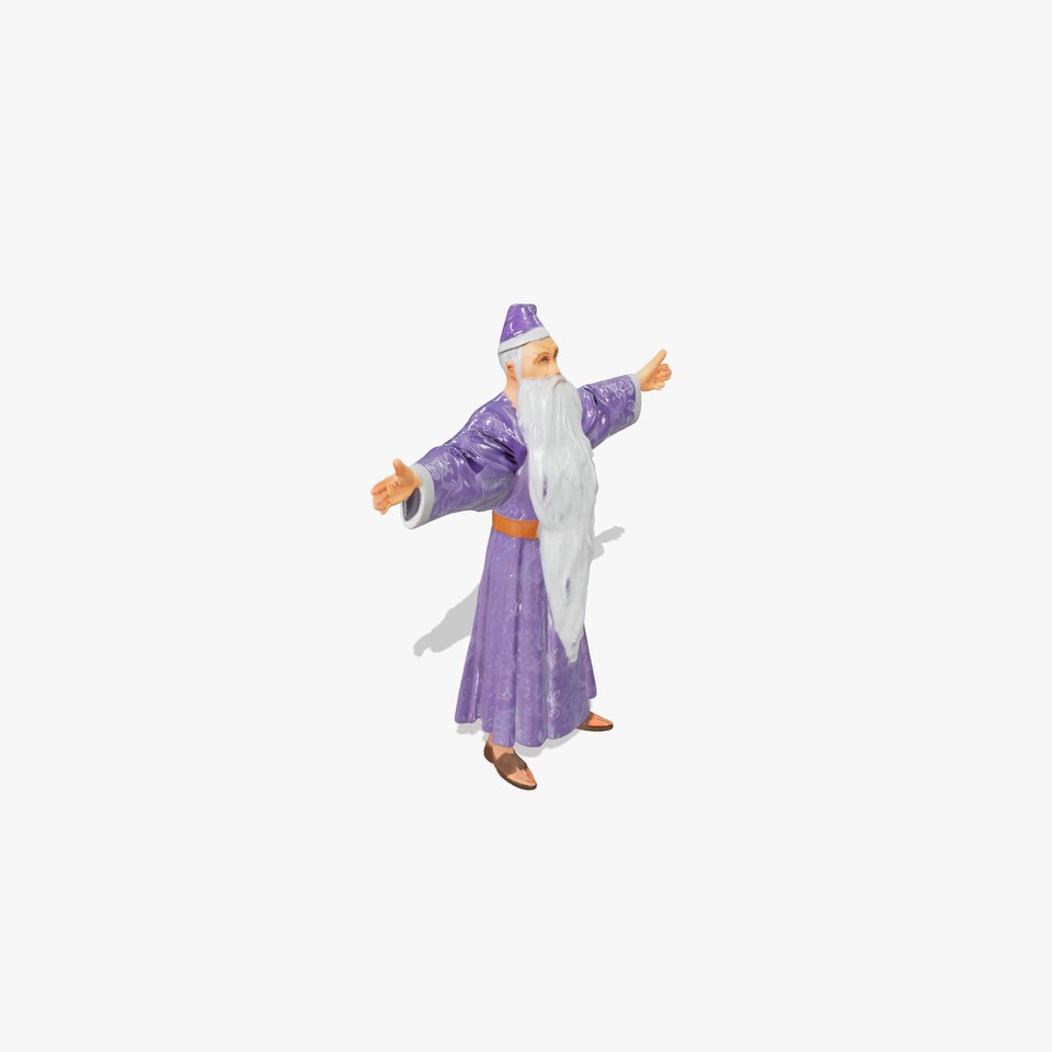 Wizard Character Model Pack with Detailed Robes and Beard